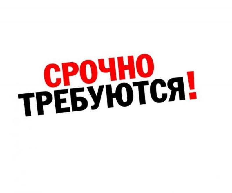 Требуется управляющий в интернет-мaгaзин, возможно совмещение