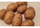 Семенной картофель элита от производителя.